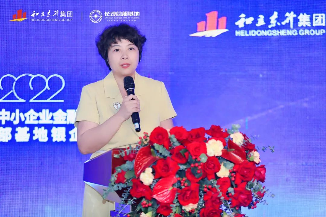 雨花经开区中小企业金融普惠论坛暨长沙总部基地银企对接会乐成举行(图10)