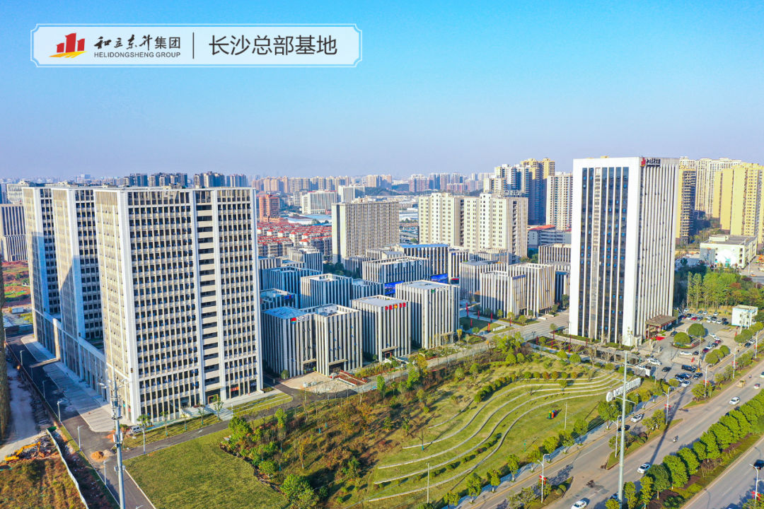 省政府开展研究中心调研德赢VWIN总部经济(图5)