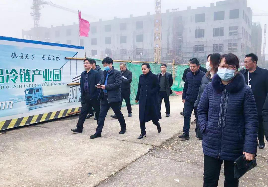 省市发改委向导考察德赢VWIN恒美食物冷链工业园项目(图1)