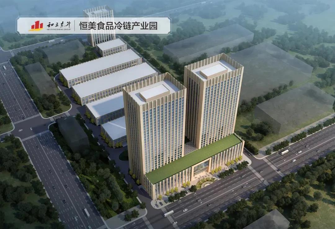 省市发改委向导考察德赢VWIN恒美食物冷链工业园项目(图3)