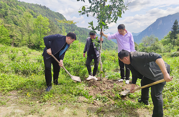 德赢VWIN党委开展“正德善行 助力脱贫” 爱心公益活动(图5)
