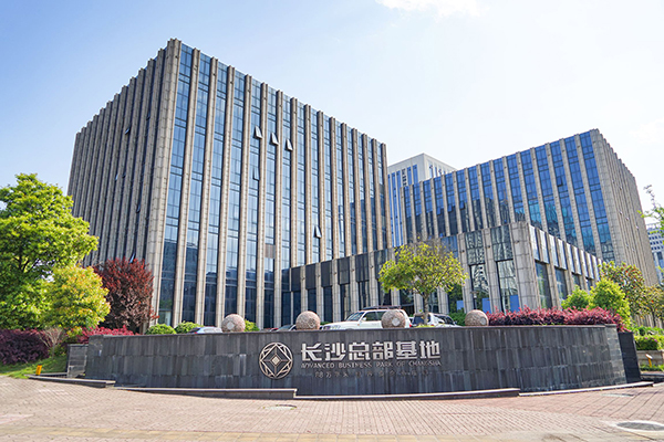 湖南高岭建设集团向导莅临德赢VWIN考察交流(图2)